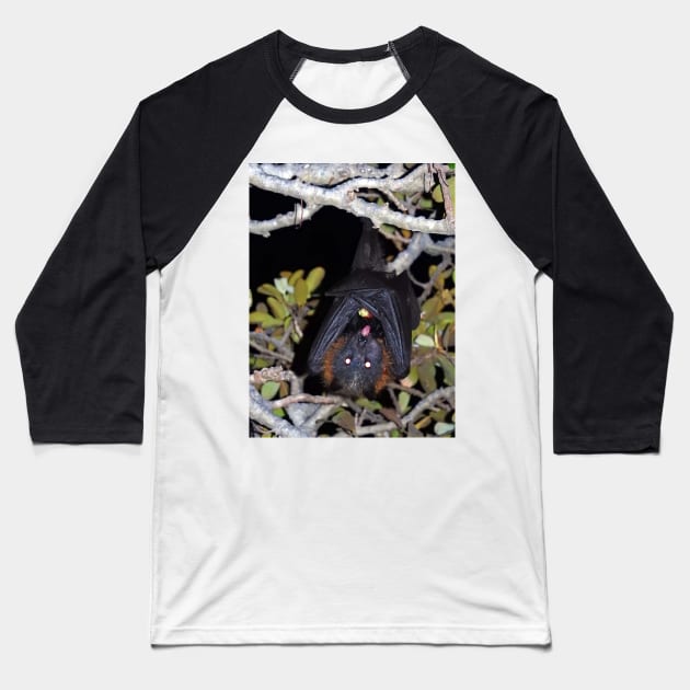 Grey-headed flying fox Baseball T-Shirt by kirstybush